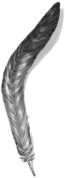 Секрет рапторов