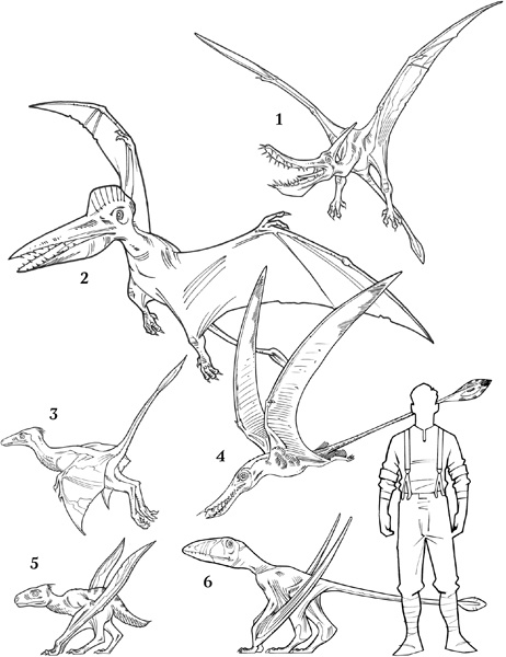 Секрет рапторов