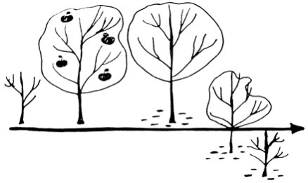 Сам себе финансист. Как тратить с умом и копить правильно Сам себе финансист. Как тратить с умом и копить правильно