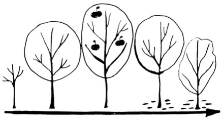 Сам себе финансист. Как тратить с умом и копить правильно Сам себе финансист. Как тратить с умом и копить правильно