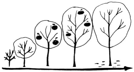 Сам себе финансист. Как тратить с умом и копить правильно Сам себе финансист. Как тратить с умом и копить правильно