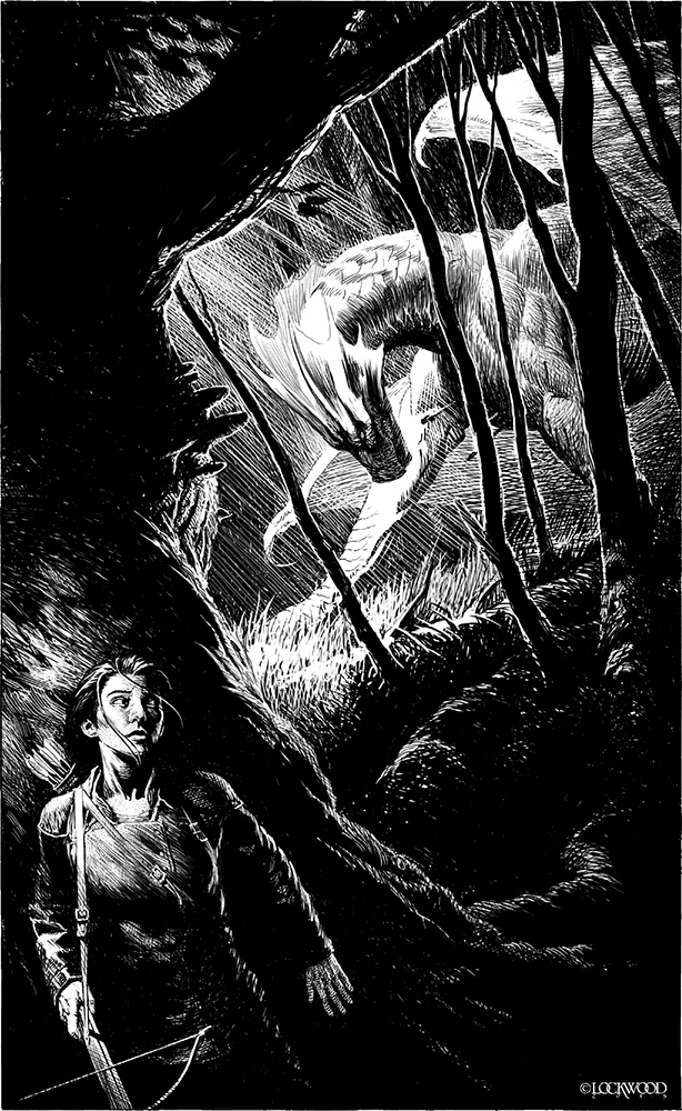 Летний дракон. Первая книга Вечнолива