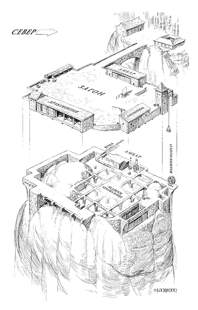 Летний дракон. Первая книга Вечнолива