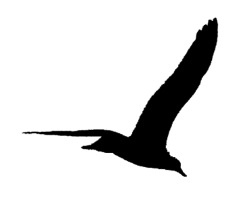 Скажи, что будешь помнить Скажи, что будешь помнить