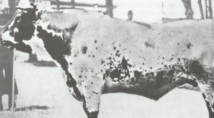 Смерть после полудня Смерть после полудня