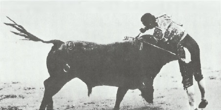 Смерть после полудня Смерть после полудня