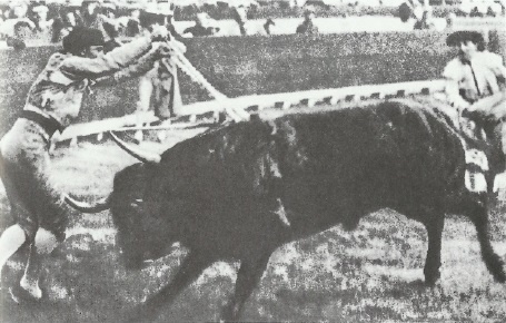 Смерть после полудня Смерть после полудня