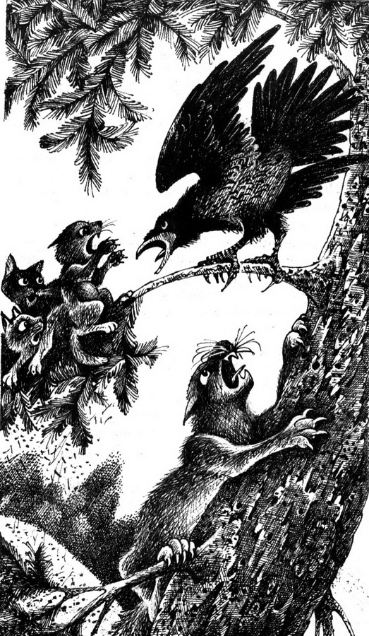 Время Выбора Время Выбора