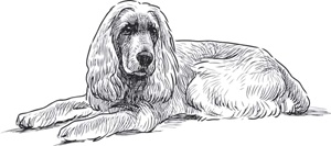 Бесценный дар собаки. История лабрадора Дейзи, собаки-детектора, которая спасла мне жизнь