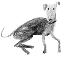 Вратарь и море Вратарь и море