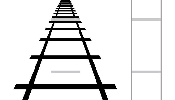 Лошадь. Биография нашего благородного спутника