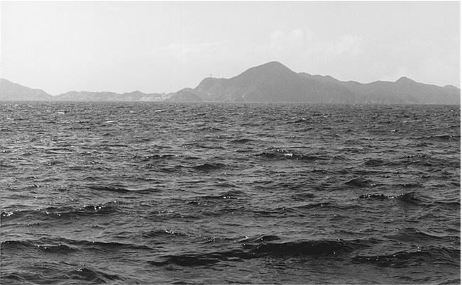 Брюс Ли. Путь совершенства