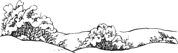 Чижик-Пыжик