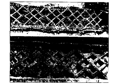 Конец времен. Новый взгляд на пророчества майя