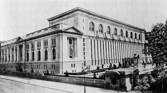 Книга на книжной полке Книга на книжной полке