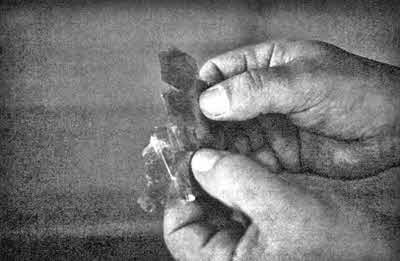 День, когда явились боги