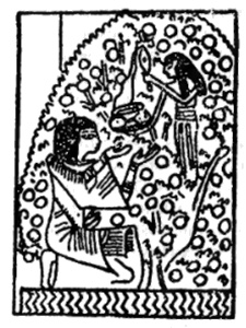 Мистерия созвездия Лебедя