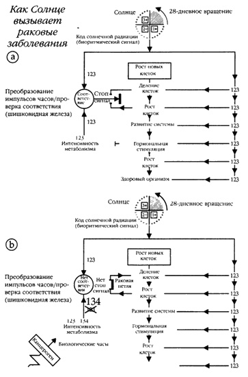 Хранители гробницы