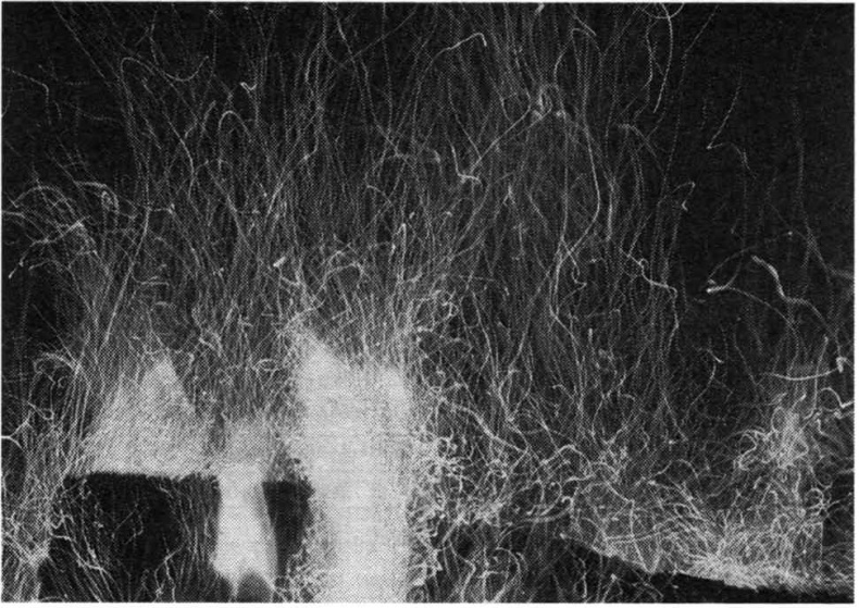 Тайны квантового мира. О парадоксальности пространства и времени Тайны квантового мира. О парадоксальности пространства и времени
