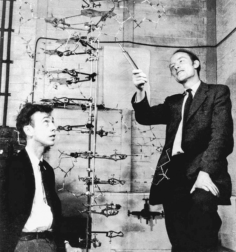 ДНК. История генетической революции ДНК. История генетической революции