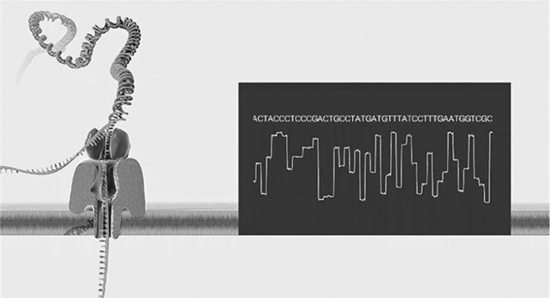 ДНК. История генетической революции