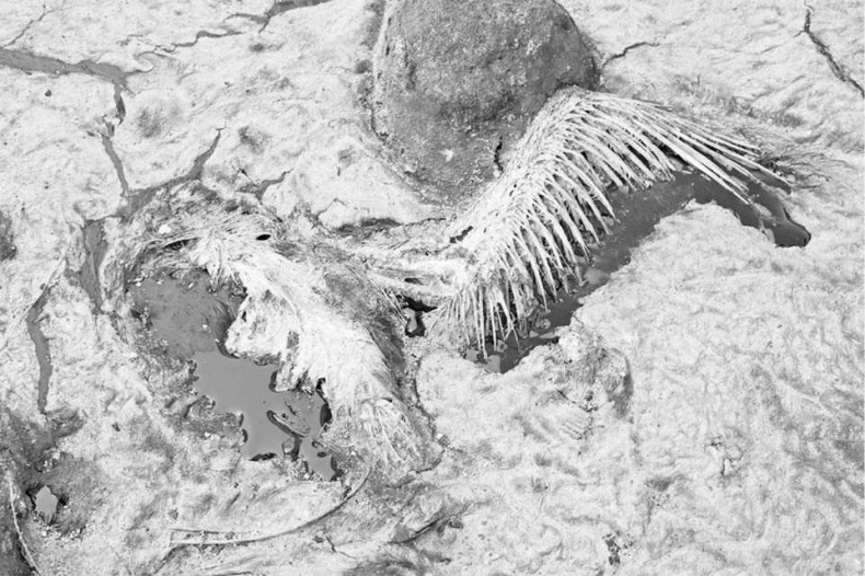 Тайны природных аномалий Тайны природных аномалий