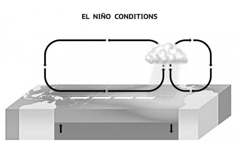 Тайны природных аномалий Тайны природных аномалий