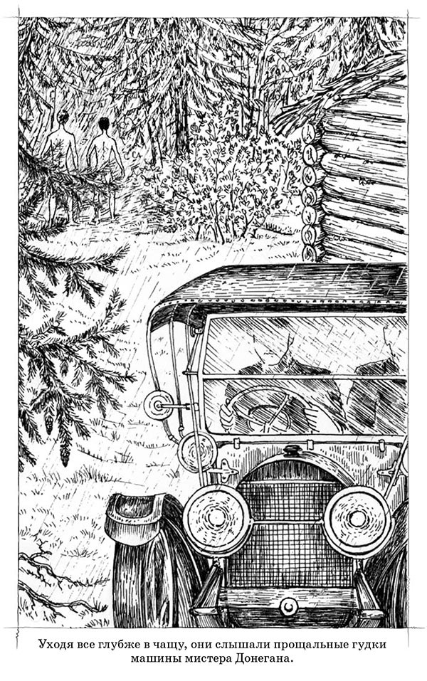 Скауты в лесах Скауты в лесах