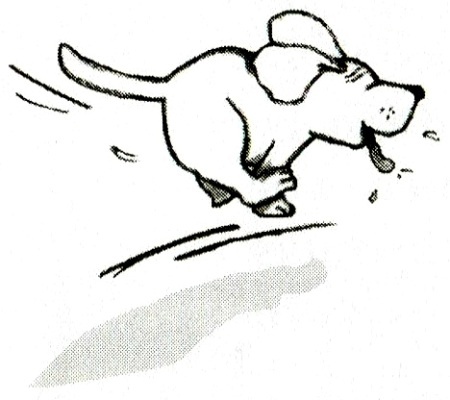 Я всего лишь кошка