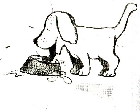 Я всего лишь кошка