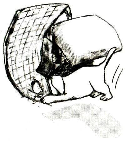 Я всего лишь кошка