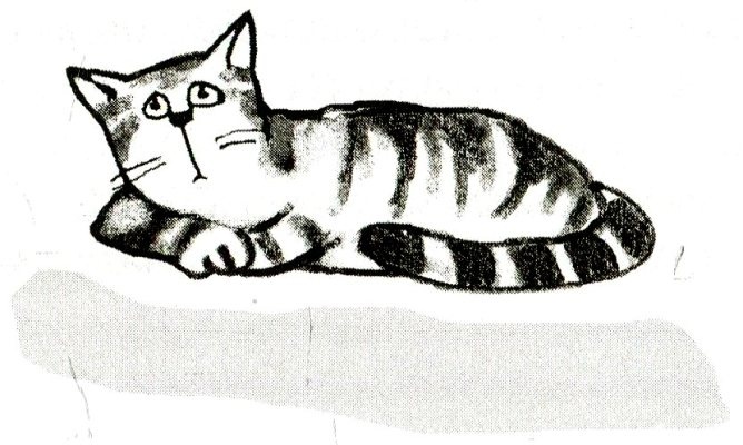 Я всего лишь кошка