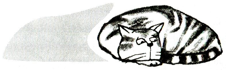 Я всего лишь кошка