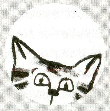 Я всего лишь кошка