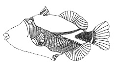 Весь этот мир Весь этот мир