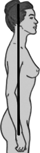 Система Осьмионика. Самомоделирование осанки. Коррекция верхней половины тела Система Осьмионика. Самомоделирование осанки. Коррекция верхней половины тела