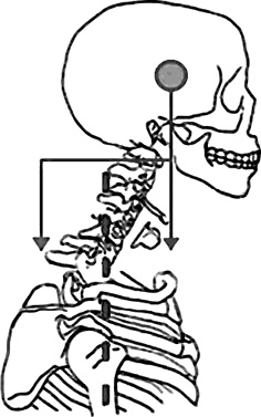 Система Осьмионика. Самомоделирование осанки. Коррекция верхней половины тела Система Осьмионика. Самомоделирование осанки. Коррекция верхней половины тела