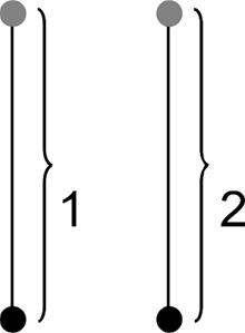 Система Осьмионика. Самомоделирование осанки. Коррекция верхней половины тела Система Осьмионика. Самомоделирование осанки. Коррекция верхней половины тела