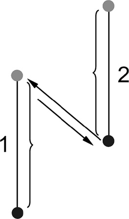 Система Осьмионика. Самомоделирование осанки. Коррекция верхней половины тела Система Осьмионика. Самомоделирование осанки. Коррекция верхней половины тела