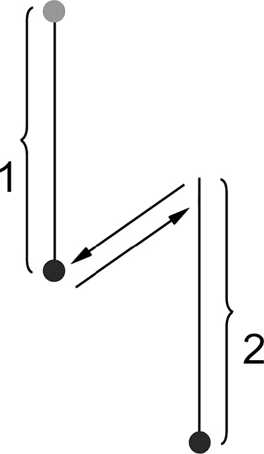 Система Осьмионика. Самомоделирование осанки. Коррекция верхней половины тела Система Осьмионика. Самомоделирование осанки. Коррекция верхней половины тела
