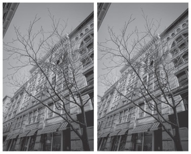 Инкогнито. Тайная жизнь мозга Инкогнито. Тайная жизнь мозга