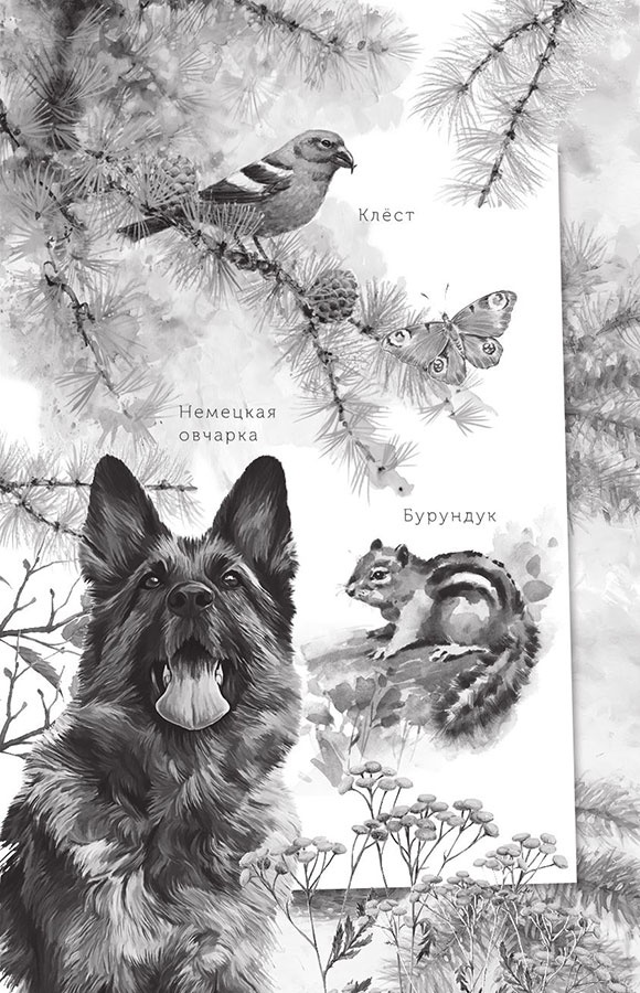 Алый. С вопросами и ответами для почемучек Алый. С вопросами и ответами для почемучек