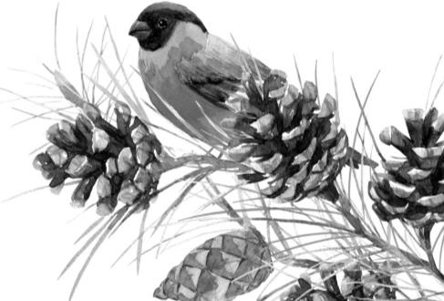 Рассказы о родной природе