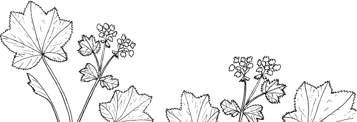 Рассказы о родной природе