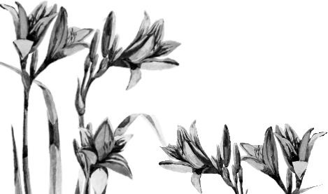 Рассказы о родной природе