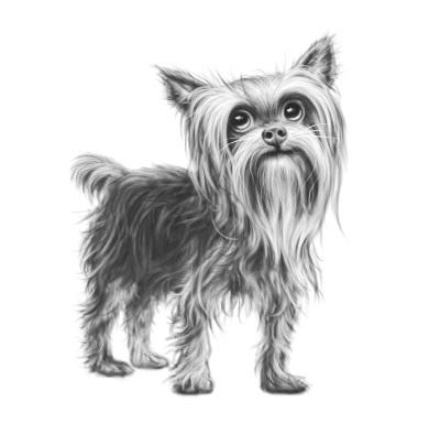 Верные. Книга 2. Тайна трёх колец Верные. Книга 2. Тайна трёх колец