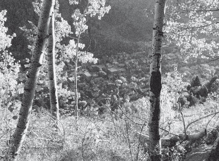 Набоков в Америке. По дороге к "Лолите"