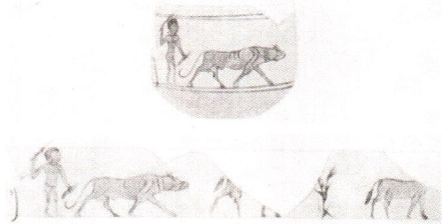 Общество и хозяйство в Римской империи. В 2 томах. Том 2
