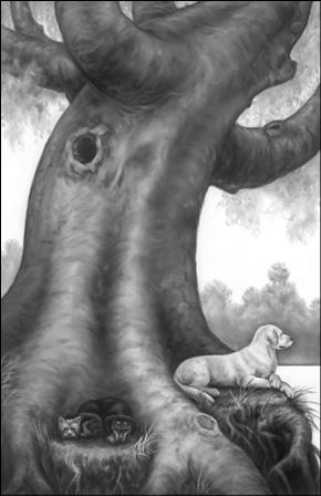 Верные. Книга 3. Дорога чудес и невзгод Верные. Книга 3. Дорога чудес и невзгод