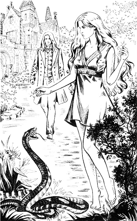 Хищная Орхидея